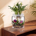 Thenshop 1.07 Gal Elliptical Cylinder Aquaponic Fish Tank Planter with Base