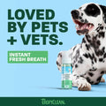 TropiClean Fresh Breath Dental Foam Spray for Dogs & Cats | Quick Breath Freshener and Teeth Cleaning Solution | Made in The USA | 4.5oz.