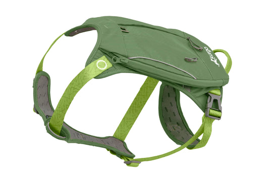 Kurgo Cascade Harness, Hiking Backpack for Dogs, Pet Harness with Backpack for Camping with a Dog (Green, Large)