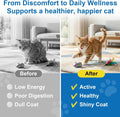 Dewormer for Cats and Kittens, Broad Spectrum for Worms，Removal of Tapeworms, Hookworms & Roundworms, 50 Tablets