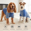 KYEESE 2Pack Dog Sweater, Soft Puppy Sweatshirt Stretchy Pullover Dog Sweater for Small Dogs Boy, Lightweight Fleece Cat Shirt Pet Clothes with Sleeves, M