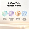 Blood Plasma Powder for Dogs – Spray-Dried with Amino Acids & Minerals for Gut Health, Immunity & Show-Ready Coat – Supp