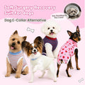 Surgery Suit for Female Dog After Spaying with Back Zipper