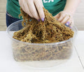 Premium New Zealand Sphagnum Moss, 500g (40L When Hydrated) Classic AA Grade (100mm, 4" Strands) - Harvested in New Zeal