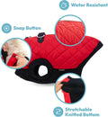 Gooby Fashion Vest Dog Jacket - Black, X-Large - Warm Zip Up Bomber Vest with Dual D Ring Leash - Winter Water Resistant Small Dog Sweater