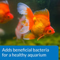 API GOLDFISH PROTECT Aquarium Water Conditioner 4-Ounce Bottle