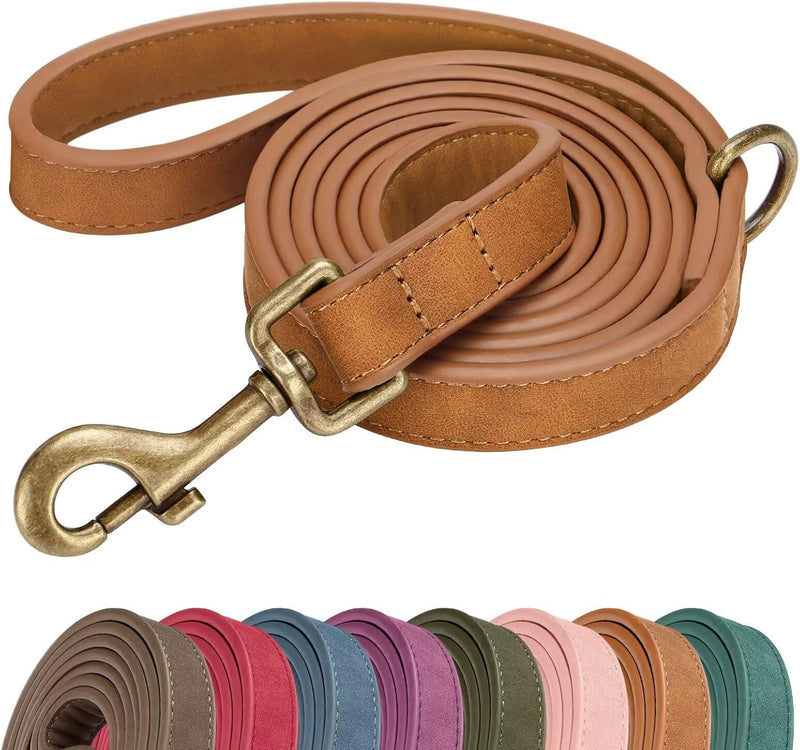 Didog PU Leather Dog Leash for Small Dogs, 5/8in x 5ft