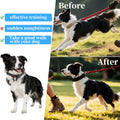 Comfort Dog Collar, Stainless Steel Collar with Quick Release Buckle, Adjustable Comfort Tip with Nylon Cover for Small 