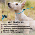 Martingale Dog Collar, 5/16” High-Strength Nylon Rope Slip Collar with Spring-Loaded Adjustable Stopper for Small, Mediu
