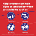 FELIWAY MultiCat Cat Calming Diffuser Kit and 6 Pack Refill – Helps Reduce Fighting, Tension and Aggression Between Cats