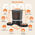 HoneyGuaridan Automatic Cat Feeder for 2 Cats,3.5L Dual Cat Food Dispenser, 2.4G/5G WiFi APP Control for Multiple Cats,2 Stainless Steel Bowls & 2 Slow Feeder Anti-Choking Bowls, Dual Power