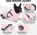 Dog Winter Coat Waterproof Dog Jacket with Harness for Medium Dogs