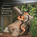 2PCS Snake Climbing Rings for Ball Python - Enrichment Toys for Corn Snake