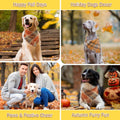 Vivifying Fall Dog Bandana, 2 Pack Plaid Dog Scarf with Tassels Edges, L