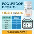 Dewormer for Dogs and Cats - Fenbendazole Tablet Broad Spectrum (50 Tablets