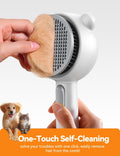 Cat Steam Brush, Brushes for Indoor Cats with Release Button, Dual Speed Spray USB Rechargeable Grooming Supplies, Cat Brush for Shedding Suitable for All Long-haired and Short-haired Pets