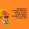 Kaytee Fiesta Conure Food, Nutritious and Fun Blend, Supports Skin, Feather, Digestion, Brain and Heart Health, 4.5 pounds