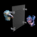 Aquarium Fish Tank Divider Acrylic Isolation Grid Board with Suction Cups Included Clear Fish Separator Transparent Plat