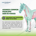 Horse Ground Flaxseed Feed, Natural High-Fat Flaxseed Meal for Horses, Coat Shine & Daily Feed Mix, Easy-to-Digest Horse