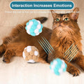 Yasdyri Cat Toys Balls 6 Pieces with Bells 5cm Soft Cat Pom Poms Balls Cats Interactive Ball Toy for Cats Kitten Indoor Outdoor Playing Chewing Scratching