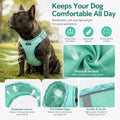 AMTOR Small Dog Harness with Leash Set, No Escape Easy Walk Puppy Harnesses for Training Walking, Step-in Reflective Soft Dogs Vest for XS S Medium Extra-Small Large Sized Dog(Green,S)