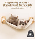 Cat Wall Shelves Set of 4, with 1 Floating Fabric Hammock, 2 Ladders with 4 Steps Each & 1 Flat Shelf – Wall Mounted Bed Furniture & Climber for Large Cats, Indoor Playground