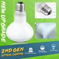 LUCKY HERP 4 Pack 100W Reptile Heat Lamp Bulb (2nd Gen), Amphibian Basking Light Bulb, Reptile Daylight Bulb for Turtle,