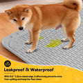 Bartuke Silicone Dog Crate Mat, 40"x 28" Under Dog Crate Kennel Pad with Raised Edge, Washable Dogs Bed Mat, Waterproof, Leakproof, Protect Floors (Green)