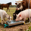 Automatic Livestock Water Trough 3 Gallons/12 Quart Livestock Animal Stainless Steel Automatic Waterer with Float Valve 