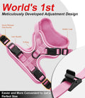 Cat Harness and Leash for Walking Escape Proof Soft Adjustable Cat Leash