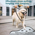 BARKLESS No Pull Head Collar for Medium Large Dogs, Sturdy Head Halter