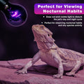 LUCKY HERP Reptile Heat Lamp 50W 2 Pack, Reptile Night Heat Bulb, Reptiles & Amphibians Basking Spot Light Bulb for Bear