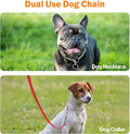 TagME Chain Choke Collar for Dogs, No Pull Slip Training for Small Dogs