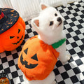 PETCARE Funny Pumpkin Dog Halloween Costume Pet Dog Cat Thick Plush Pumpkin Decoration Shirt Clothes for Small Medium Do