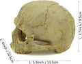 JIHAQUA Aquarium Resin Skull Ornament Snake Hide Decor, Habitat