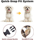 BINGPET No Pull Dog Harness Leash Collar Set,Adjustable Step-in Vest,Small