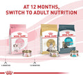 Royal Canin Feline Health Nutrition Kitten Thin Slices in Gravy Cat Food, 3 oz (Pack of 12)