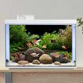 Aquarium Background Aquatic Plant Fish Tank Background Vinyl 24x12 inches