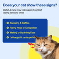 Doctor By FELYSIN L-Lysine for Cats Lickable Immune Support Supplement Allergy Relief, Sneezing, Runny Nose, Cold, Watery Eyes Respiratory Health with Beta-Glucan & Taurine – 30 Individually Packaged