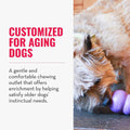 KONG Senior, Gentle Natural Rubber Stuffable Dog Toy, for Large Dogs