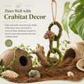 Hermit Crab Climbing Toy, Hanging Moss Climbing Rings for Hermit Crab Tank Accessories, 11 in Crabitat Decor with Rope, 