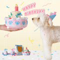 Birthday Cake Snuffle Toy Set, Interactive Enrichment Plush Cake with Squeaker Candle, Treat-Hiding Pocket in Cherries, 