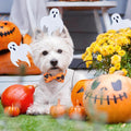 Frienda 32 Pcs Halloween Dog Bow Ties Adjustable Neckties Pumpkin Ghost