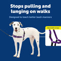 PetSafe Easy Walk Dog Harness