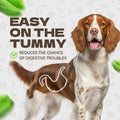 KUADELRO Chicken Jerky Dog Treats, Real Chicken Strips Dog Training Treats Soft Rawhide-Free Chews Healthy Snacks for Small Medium Large Breed 10.58oz