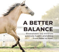 Daily Red Complete Wellness, Fortified Mineral Mix Supplement for Horses