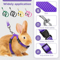 Outus 5 Pieces Adjustable Rabbit Harness and Leash Set, Lovely Color