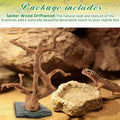 Large Aquarium Driftwood on Base 8.5-11.5 Inch Spider Wood for Reptile Tank