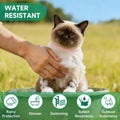 Flea Collar for Cats, Cat Flea and Tick Treatment, 4-Pack, 32-Month Supply