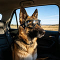 NAMSAN Clear Dog Goggles for Medium to Large Dogs, UV Protection Dog Sunglasses Large Breed, Driving Glasses for Dogs Stick Head Out Car Window, Windproof Dustproof, Adjustable, Transparent